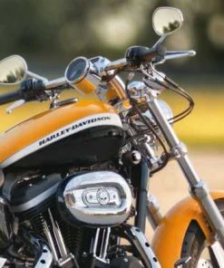 Harley Davidson Luftfilter-Zierblende Willie G Skull -Harley-Davidson-Shop 29416 04 2