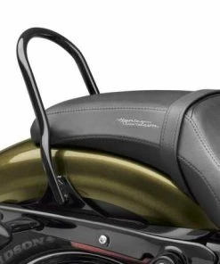 Harley Davidson Low-Profile Sissy Bar Bügel Rund Schwarz -Harley-Davidson-Shop 52300403 2 harley2