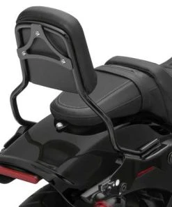 Harley Davidson HoldFast Sissy Bar Bügel Standard Schwarz -Harley-Davidson-Shop 52300454 harley2