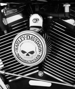Harley Davidson Willie G. Skull Hupen Cover -Harley-Davidson-Shop 61300622 21